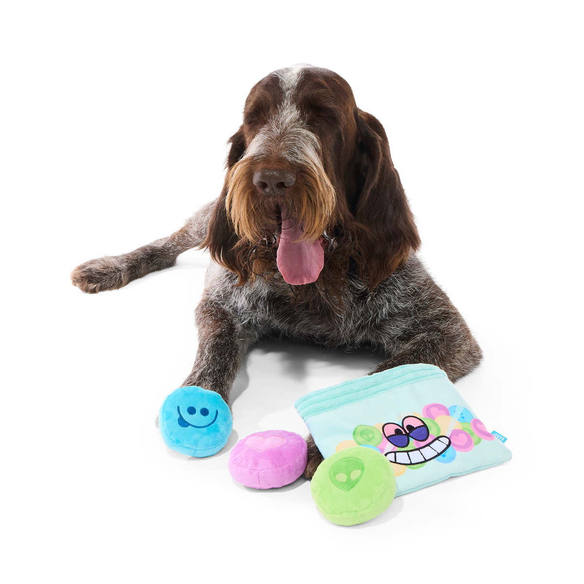 Yappy Pills Plush Multi-Part + Enrichment Dog Toy