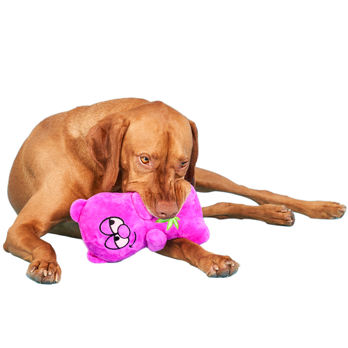 Heady Bear Plush Dog Toy