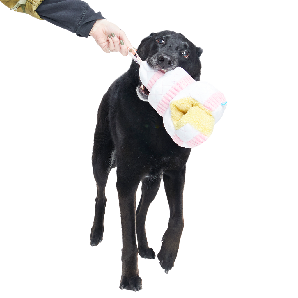 Holy Ratrimony Plush Multi-Part + Enrichment Dog Toy