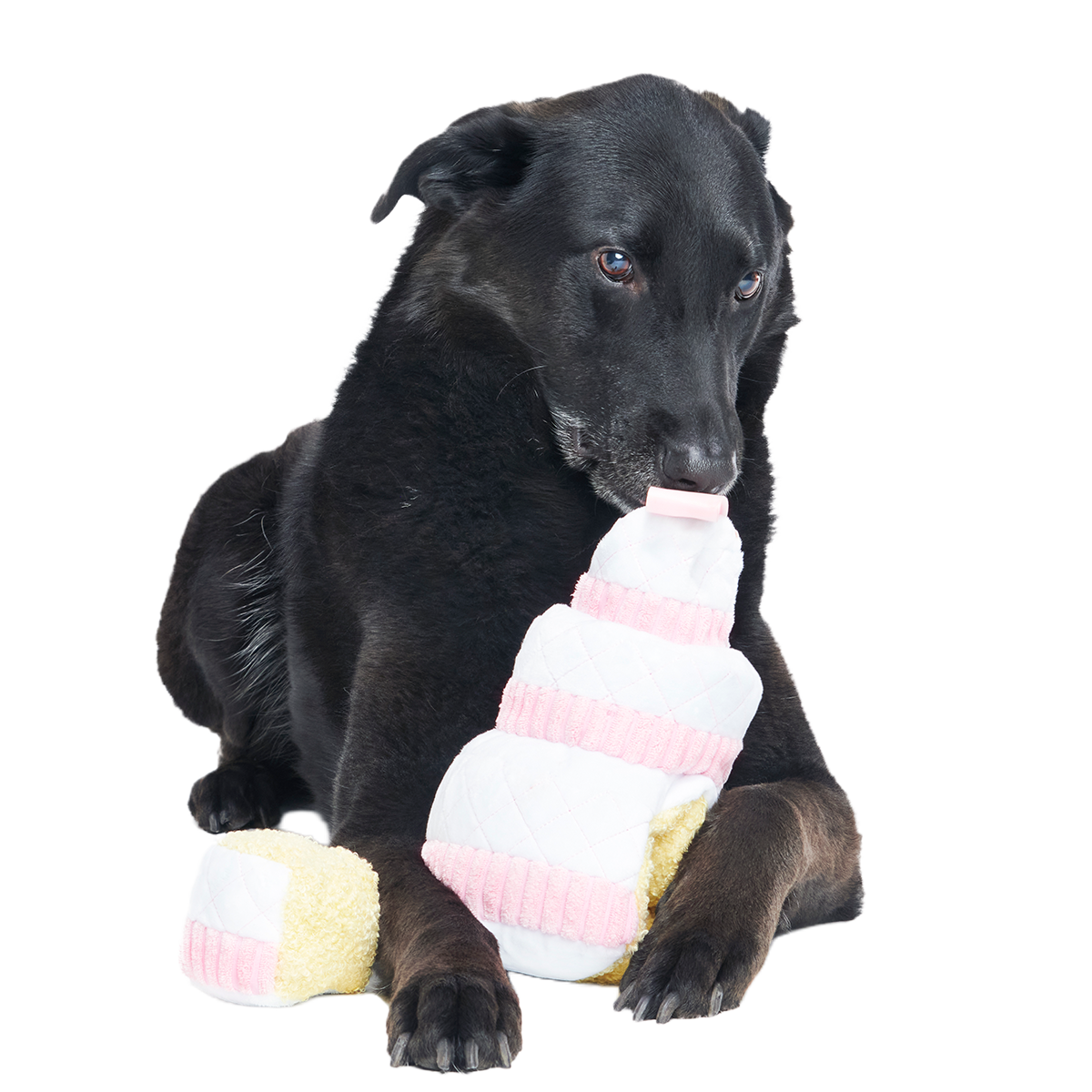 Holy Ratrimony Plush Multi-Part + Enrichment Dog Toy