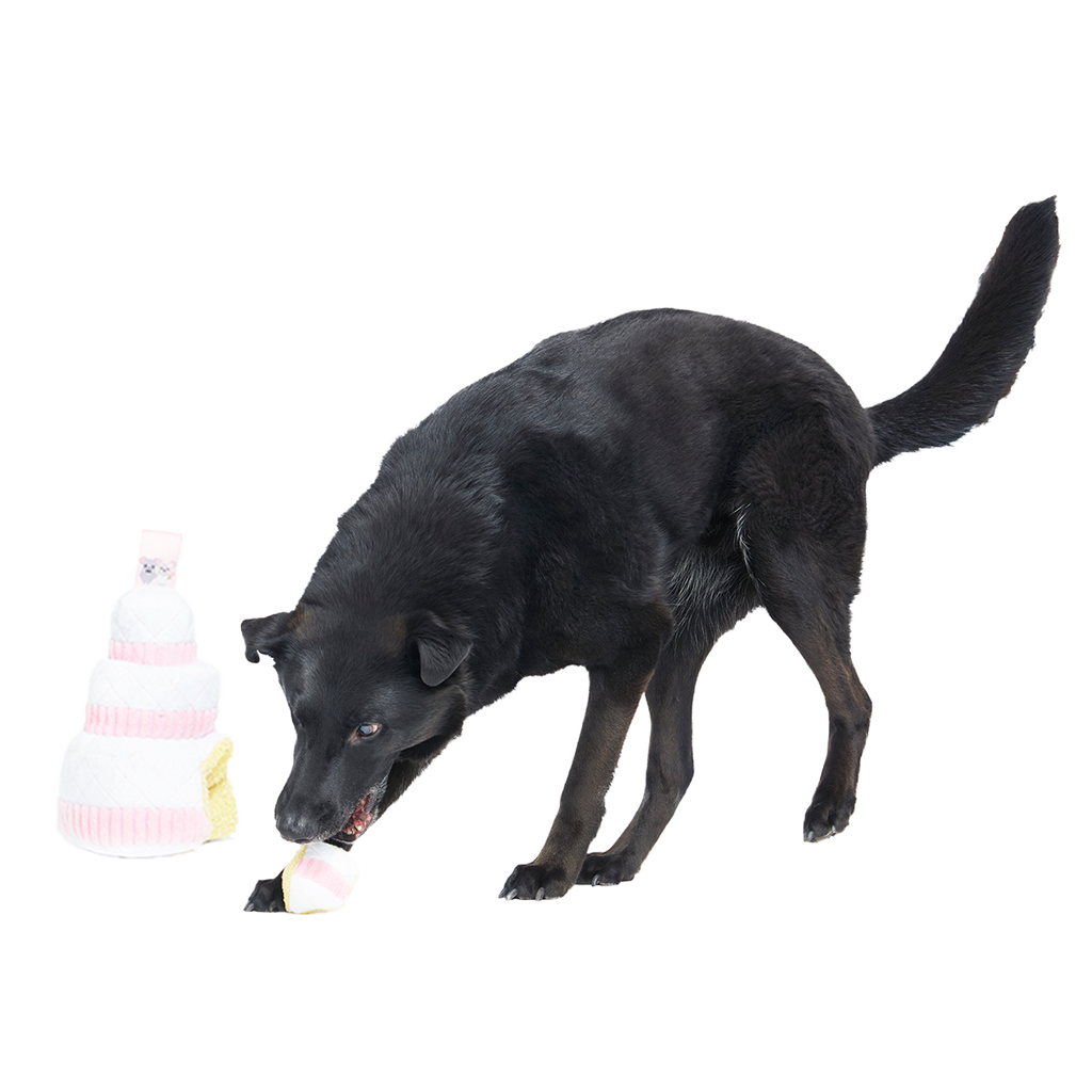 Holy Ratrimony Plush Multi-Part + Enrichment Dog Toy