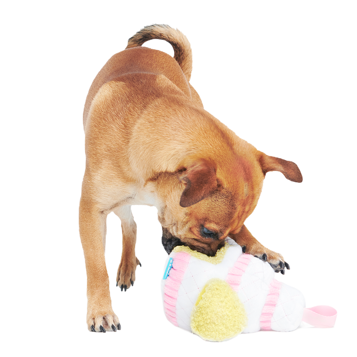 Holy Ratrimony Plush Multi-Part + Enrichment Dog Toy