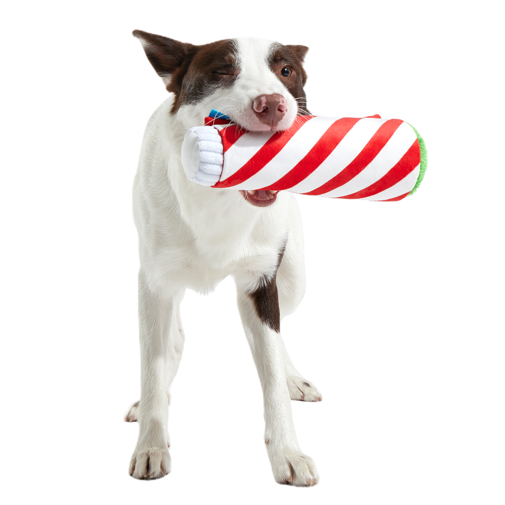 Puffermint Spliff Plush Tug Dog Toy