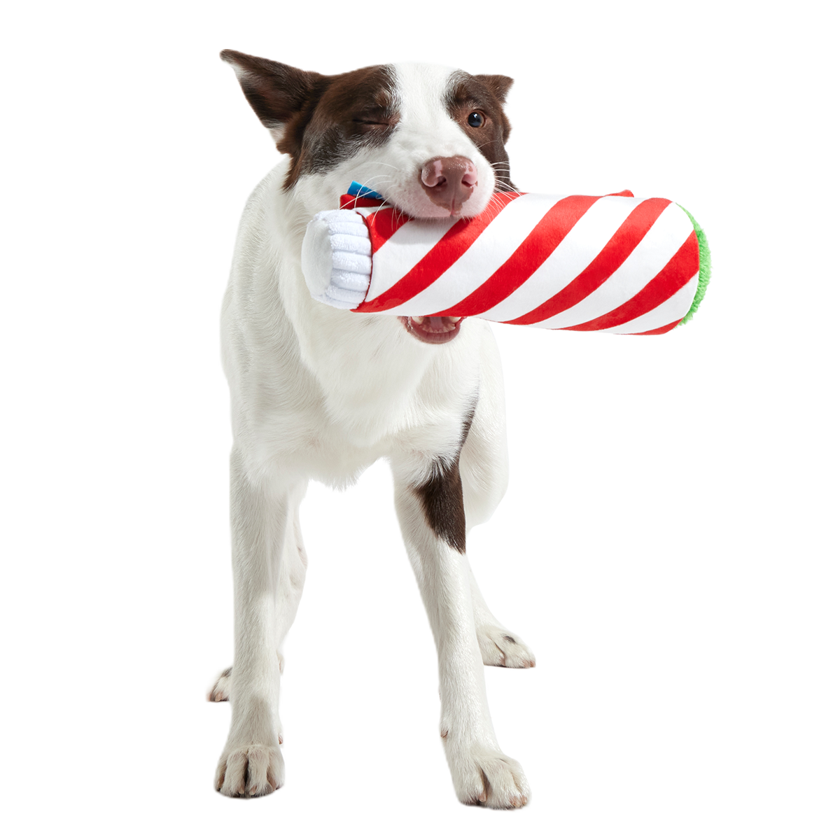 Puffermint Spliff Plush Tug Dog Toy