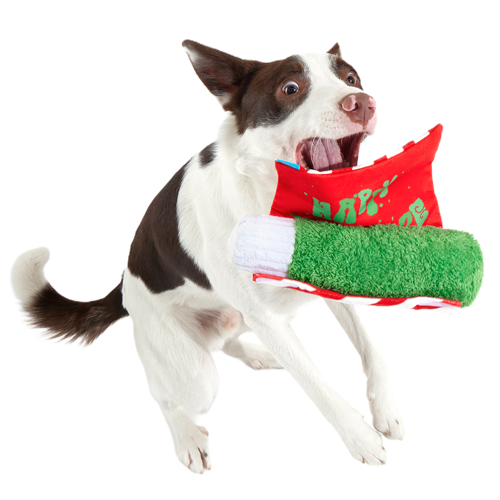 Puffermint Spliff Plush Tug Dog Toy