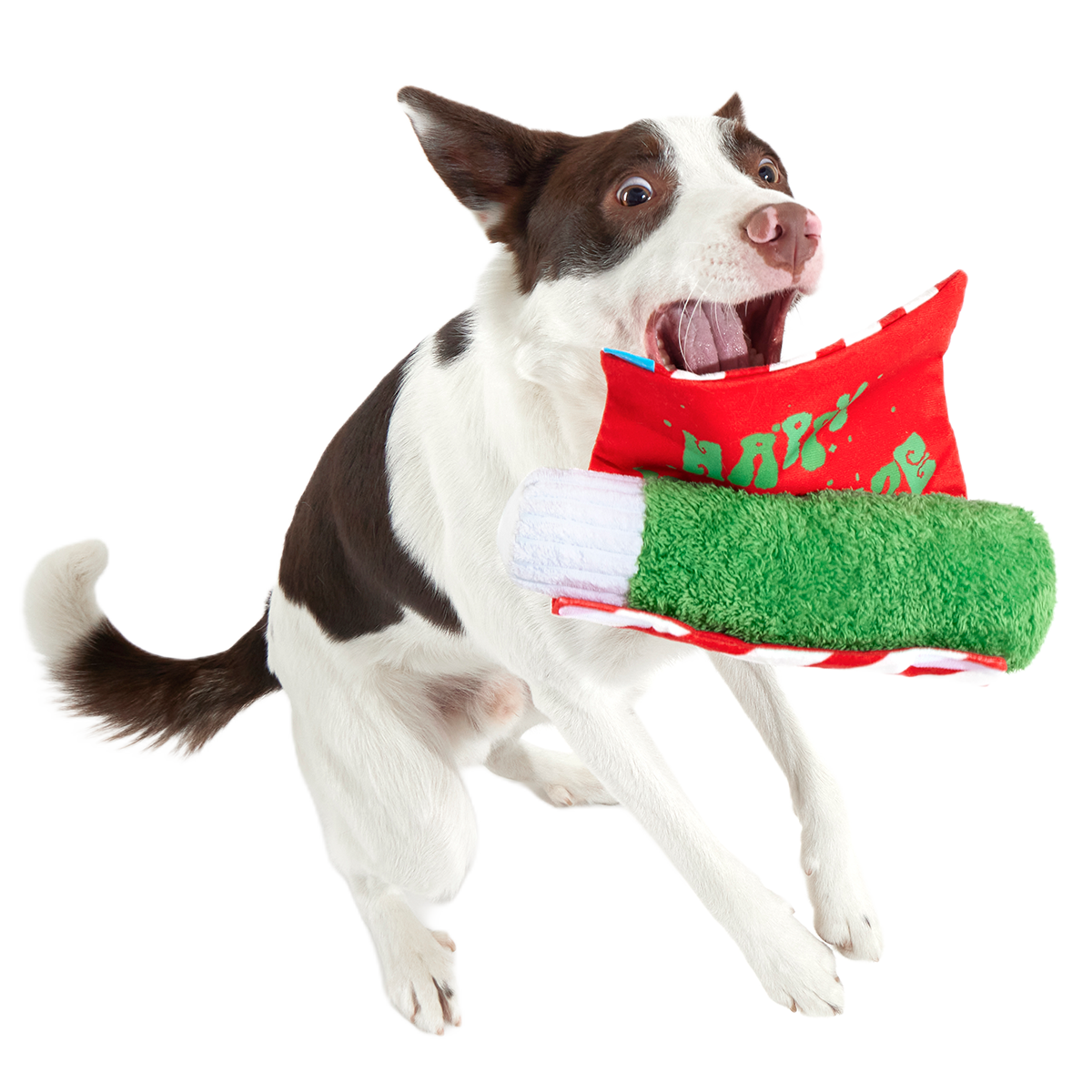Puffermint Spliff Plush Tug Dog Toy