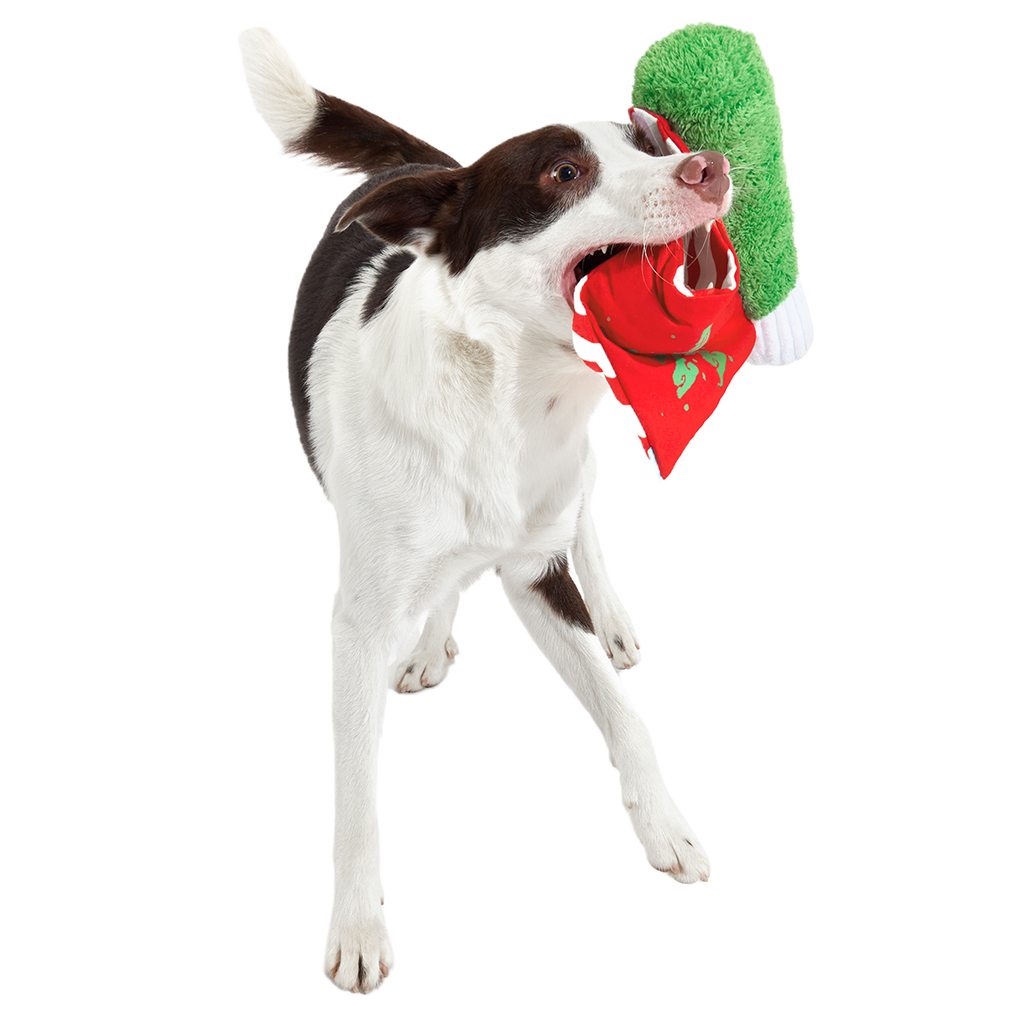 Puffermint Spliff Plush Tug Dog Toy
