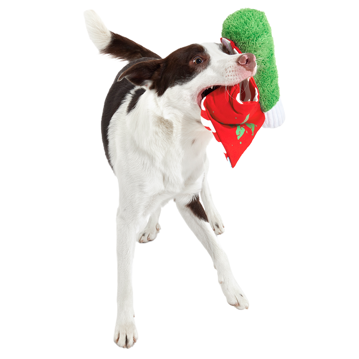Puffermint Spliff Plush Tug Dog Toy