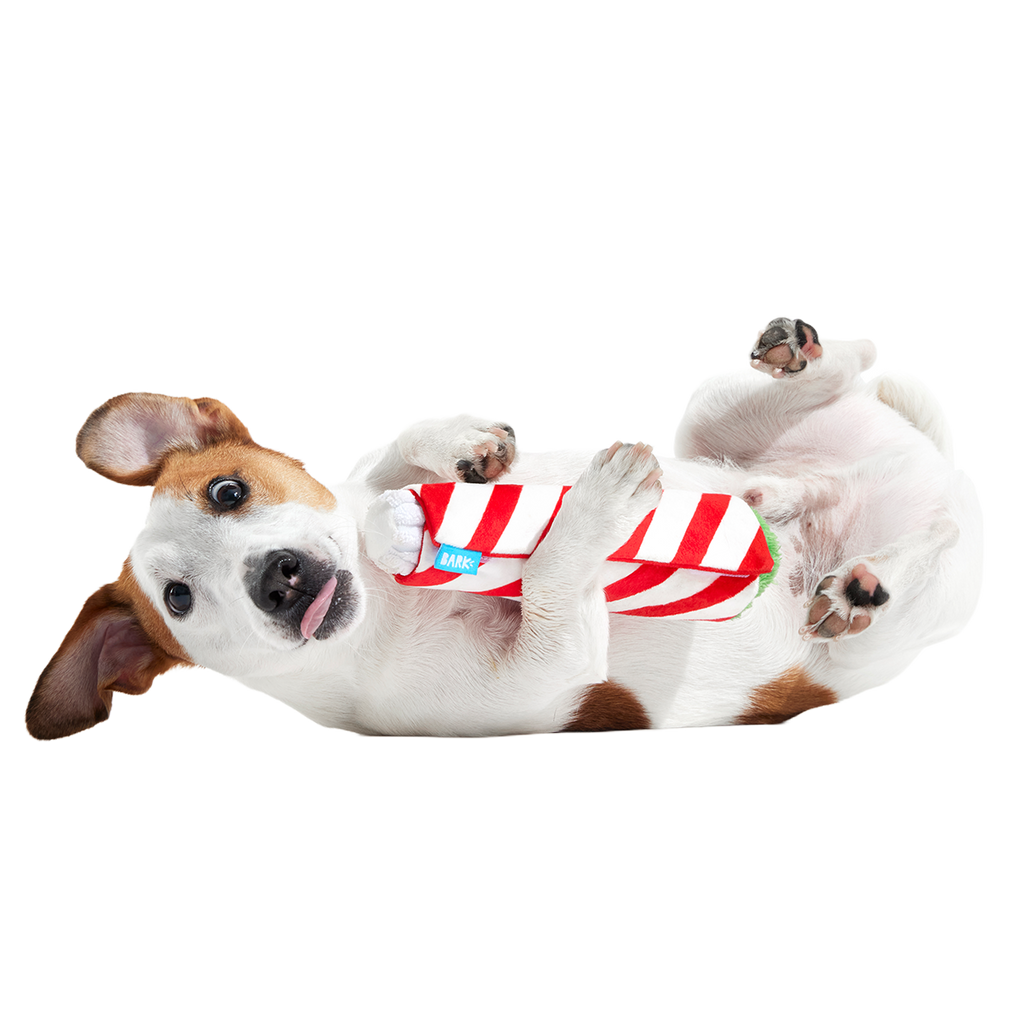Puffermint Spliff Plush Tug Dog Toy