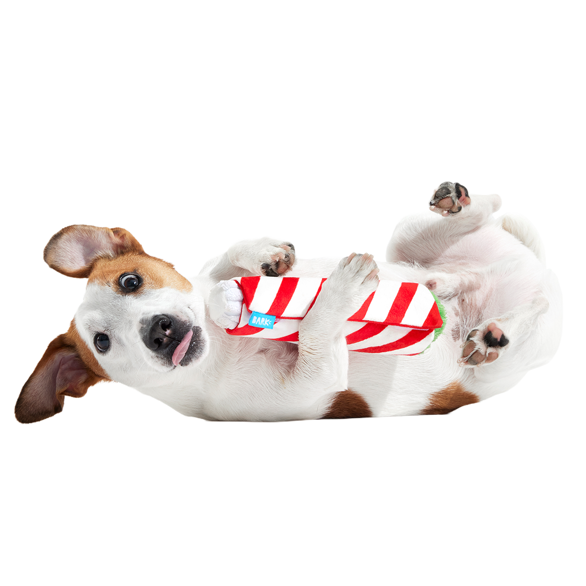 Puffermint Spliff Plush Tug Dog Toy