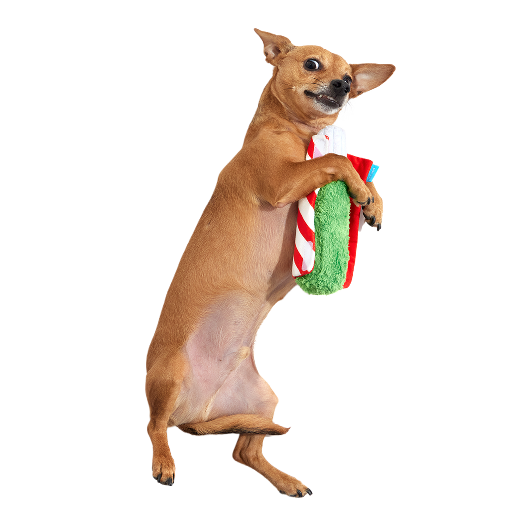 Puffermint Spliff Plush Tug Dog Toy