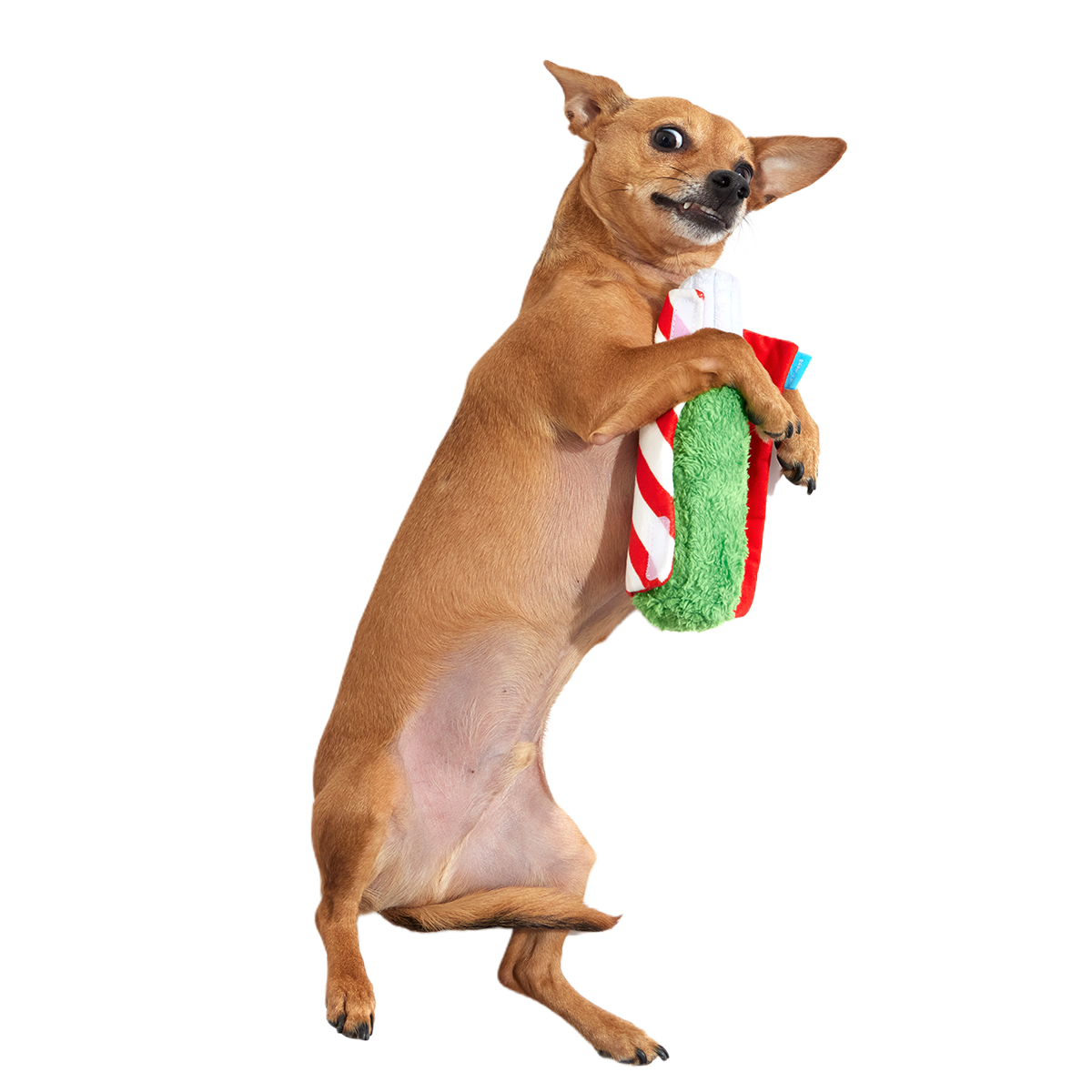 Puffermint Spliff Plush Tug Dog Toy