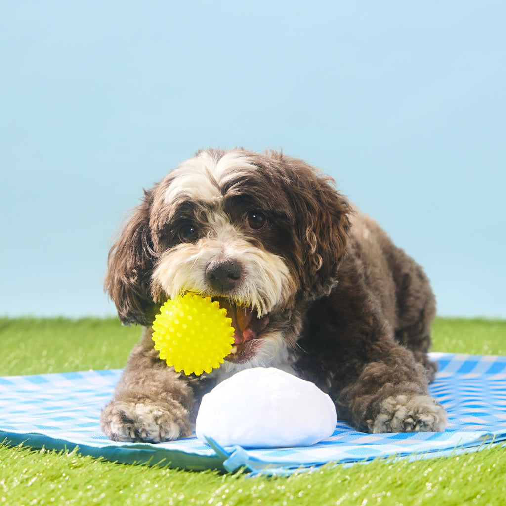 Deviled Begg Plush Multi-Part + Fetch Dog Toy