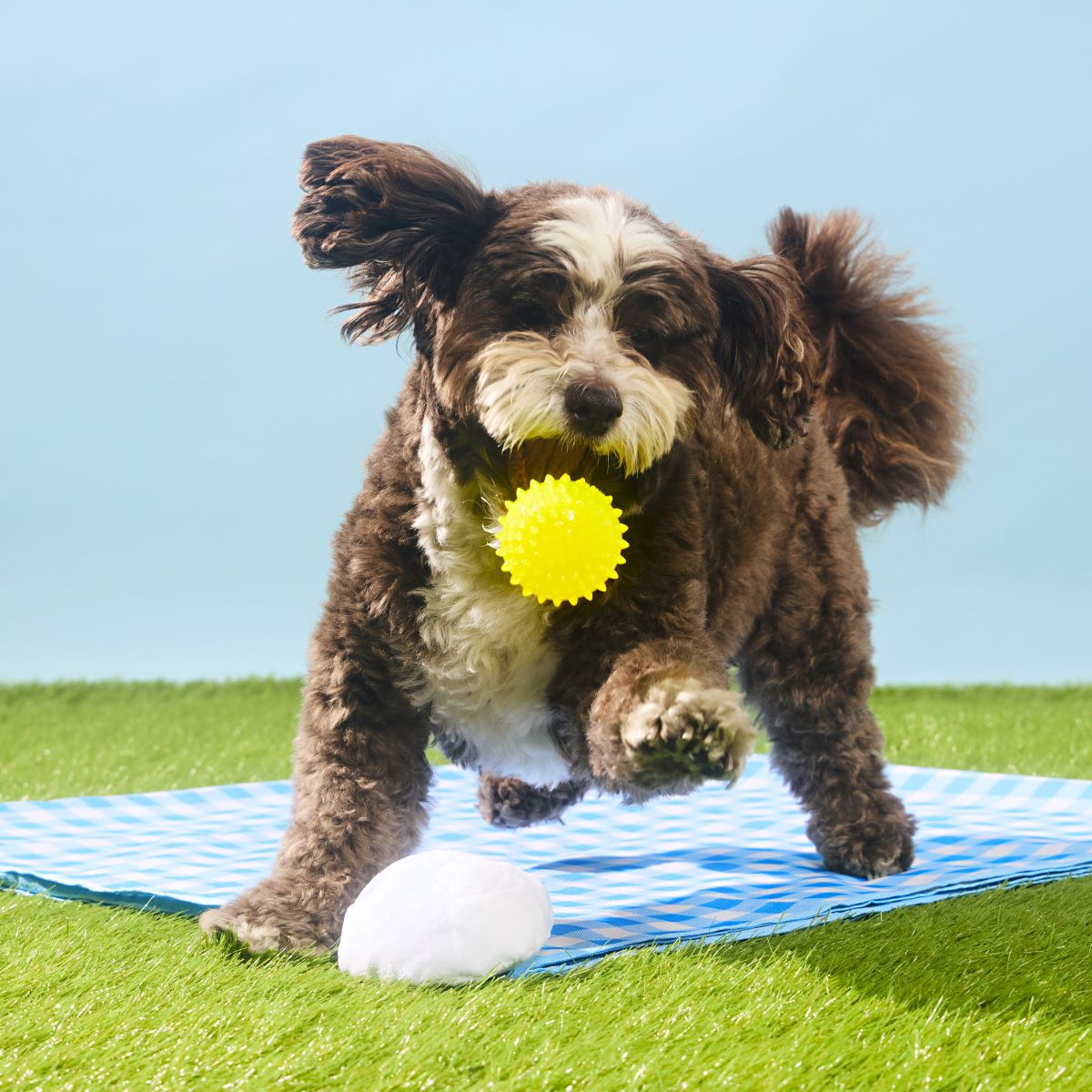 Deviled Begg Plush Multi-Part + Fetch Dog Toy