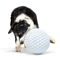 Big Swing Golf Ball Durable Super Chewer Fetch + Extra-Large Dog Toy