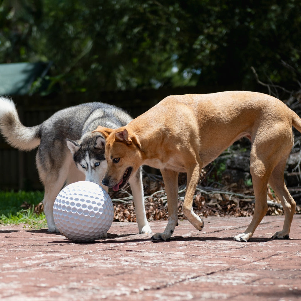 Big Swing Golf Ball Durable Super Chewer Fetch + Extra-Large Dog Toy
